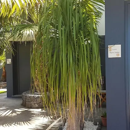 Hébergement de vacances Quinta Golfinho - Casa Frangipani Arco da Calheta (Madeira)