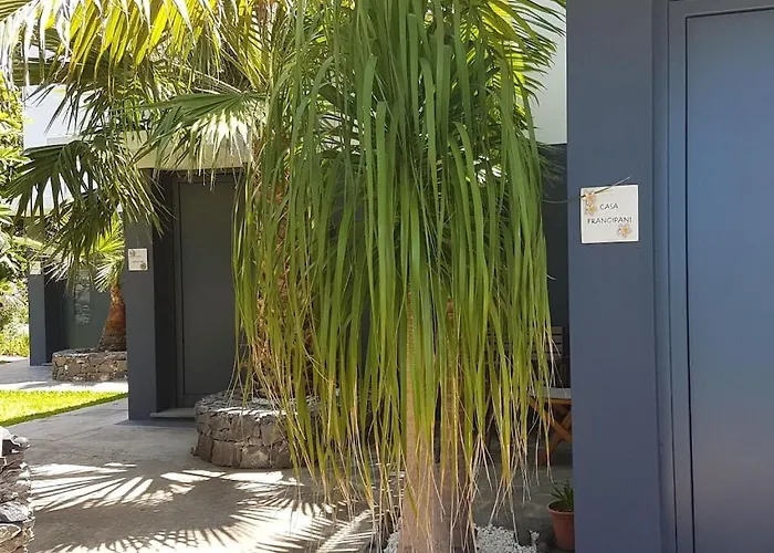 Hébergement de vacances Quinta Golfinho - Casa Frangipani Arco da Calheta (Madeira)